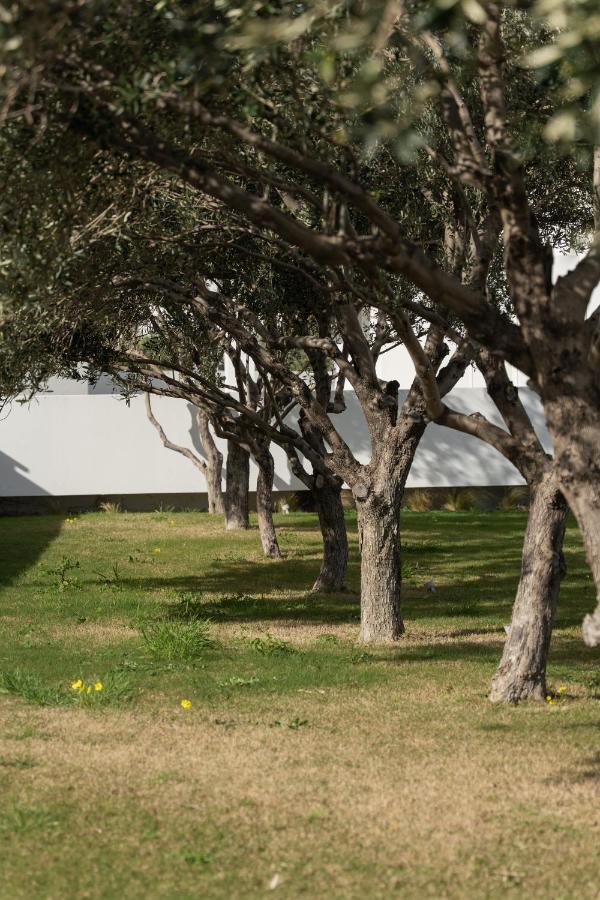 Tzanis Resort Skyros Exterior photo